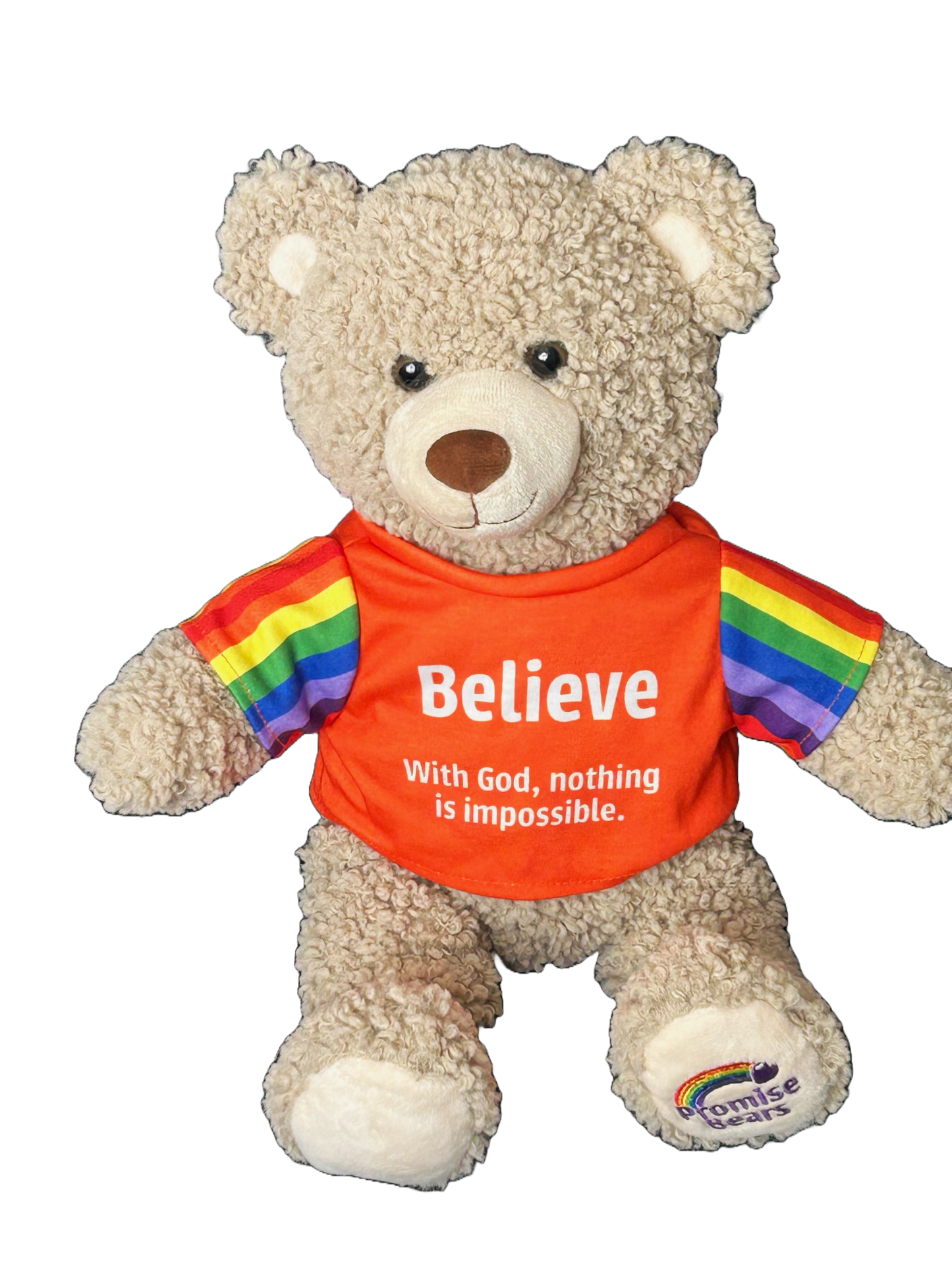 Promise Bears - Believe Bear - 40cm