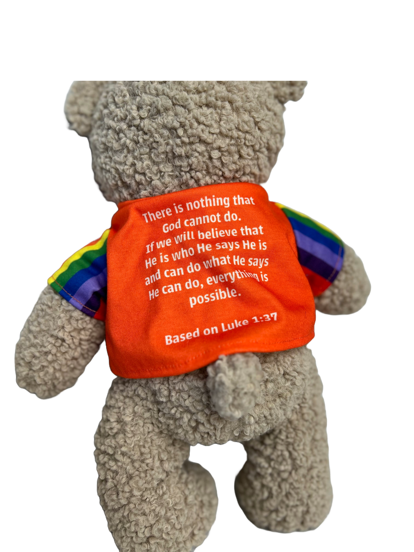 Promise Bears - Believe Bear - 40cm