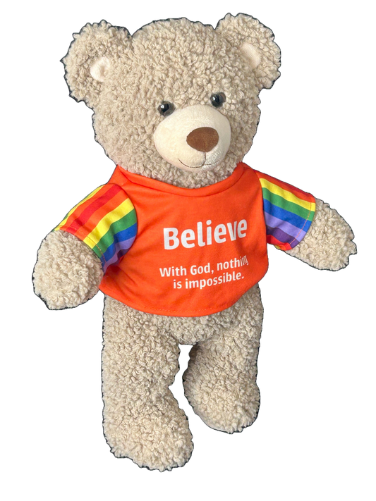 Promise Bears - Believe Bear - 40cm
