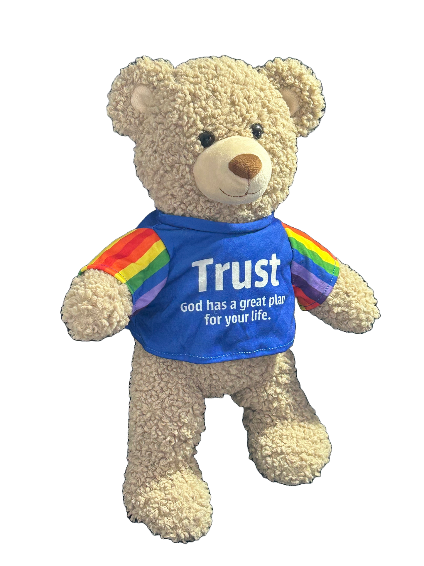 Promise Bears - Trust Bear - 40cm